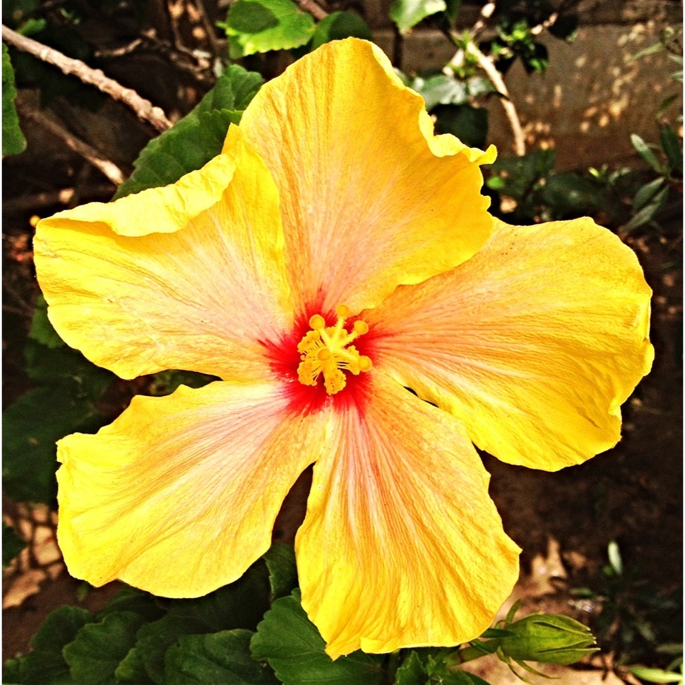 unlisted Inventory for LIVE SHOWS🌸 👠💤♥️🌺 👜 💤♥️👢🌸 💤  ♥️ 🕯️🌺 💤  ♥️ 🌸 - Picture 6 of 11